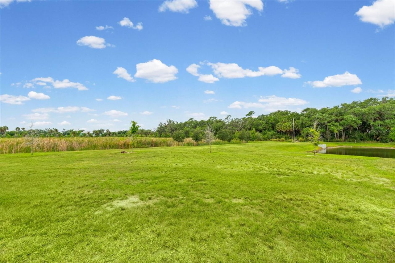 8093 Tea Olive Terrace, Palmetto, FL 34221 Photo