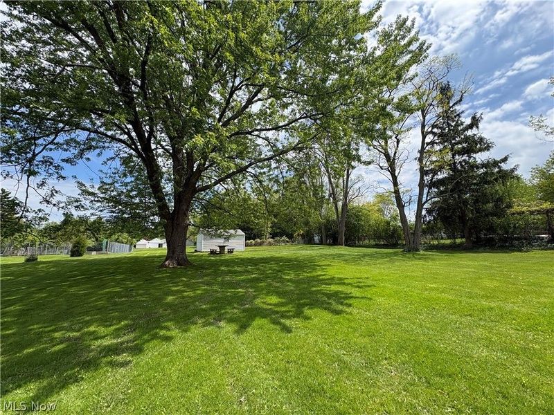 2821 Trabar Drive, Willoughby Hills, OH 44092 Photo 28