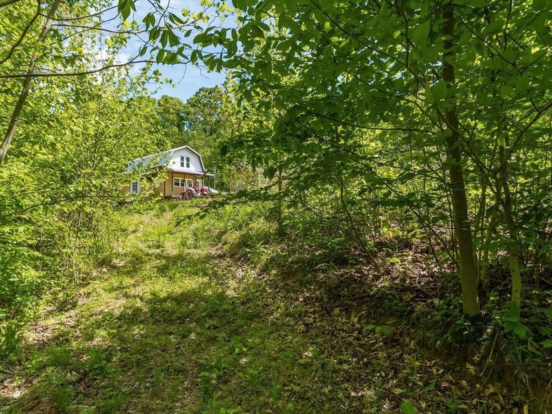 50583 Roy Miles Road, Sarahsville, OH 43779 Photo 19