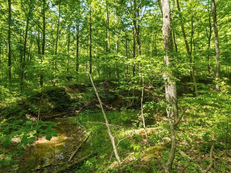 50583 Roy Miles Road, Sarahsville, OH 43779 Photo 20
