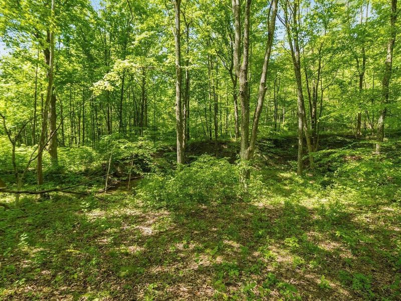 50583 Roy Miles Road, Sarahsville, OH 43779 Photo 21