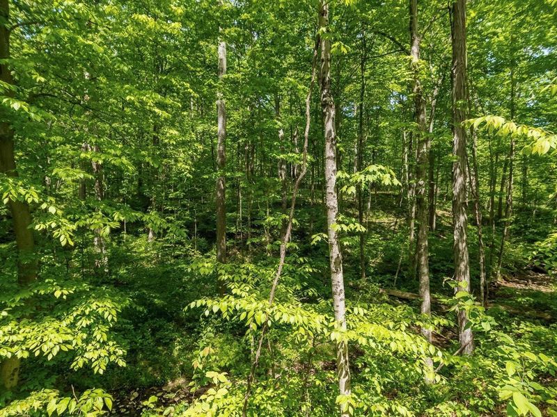 50583 Roy Miles Road, Sarahsville, OH 43779 Photo 22