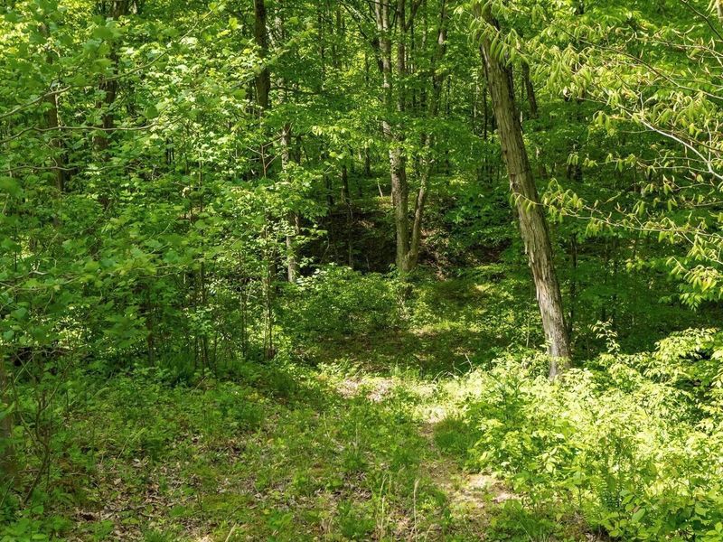 50583 Roy Miles Road, Sarahsville, OH 43779 Photo 23