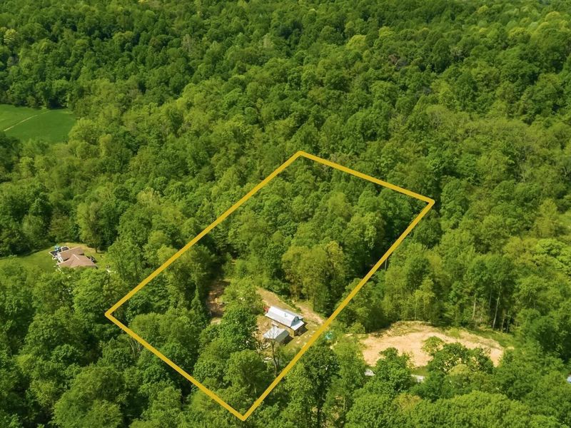 50583 Roy Miles Road, Sarahsville, OH 43779 Photo 24