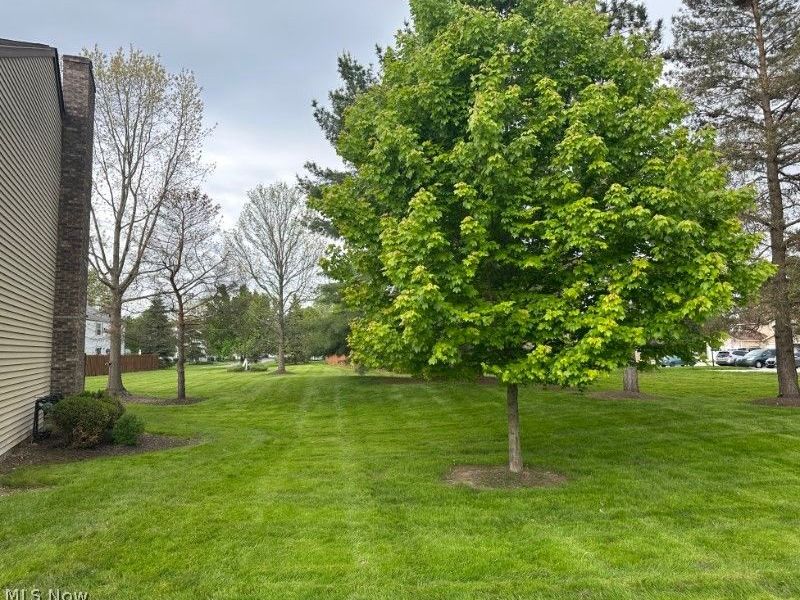 9632 E. Idlewood Drive, Twinsburg, OH 44087 Photo 2