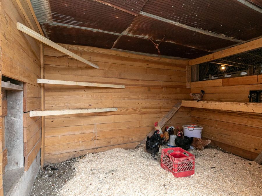 Property Image 44