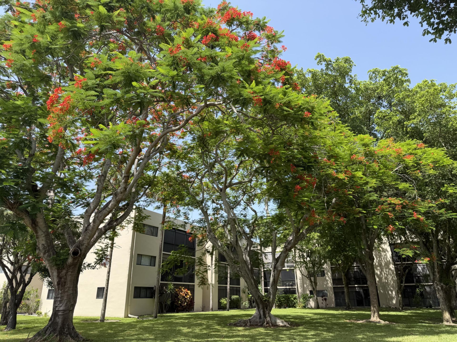 5220 Las Verdes Circle, Unit 317, Delray Beach, FL 33484 Photo