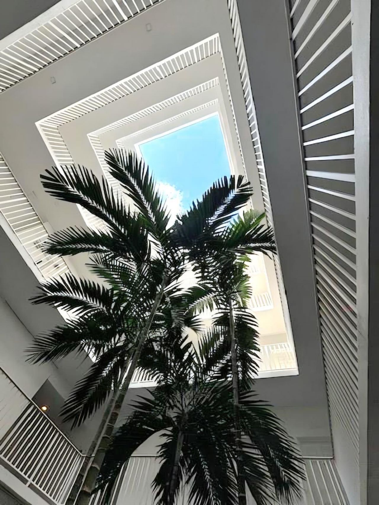 1770 E Las Olas Boulevard, Unit 404, Fort Lauderdale, FL 33301 Photo