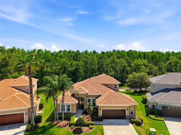 3320 GRASSGLEN PLACE , WESLEY CHAPEL, FL 33544