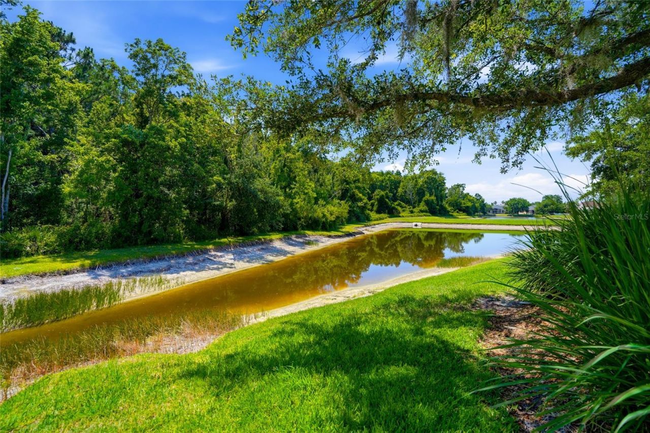 3320 Grassglen Place , Wesley Chapel, FL 33544 Photo