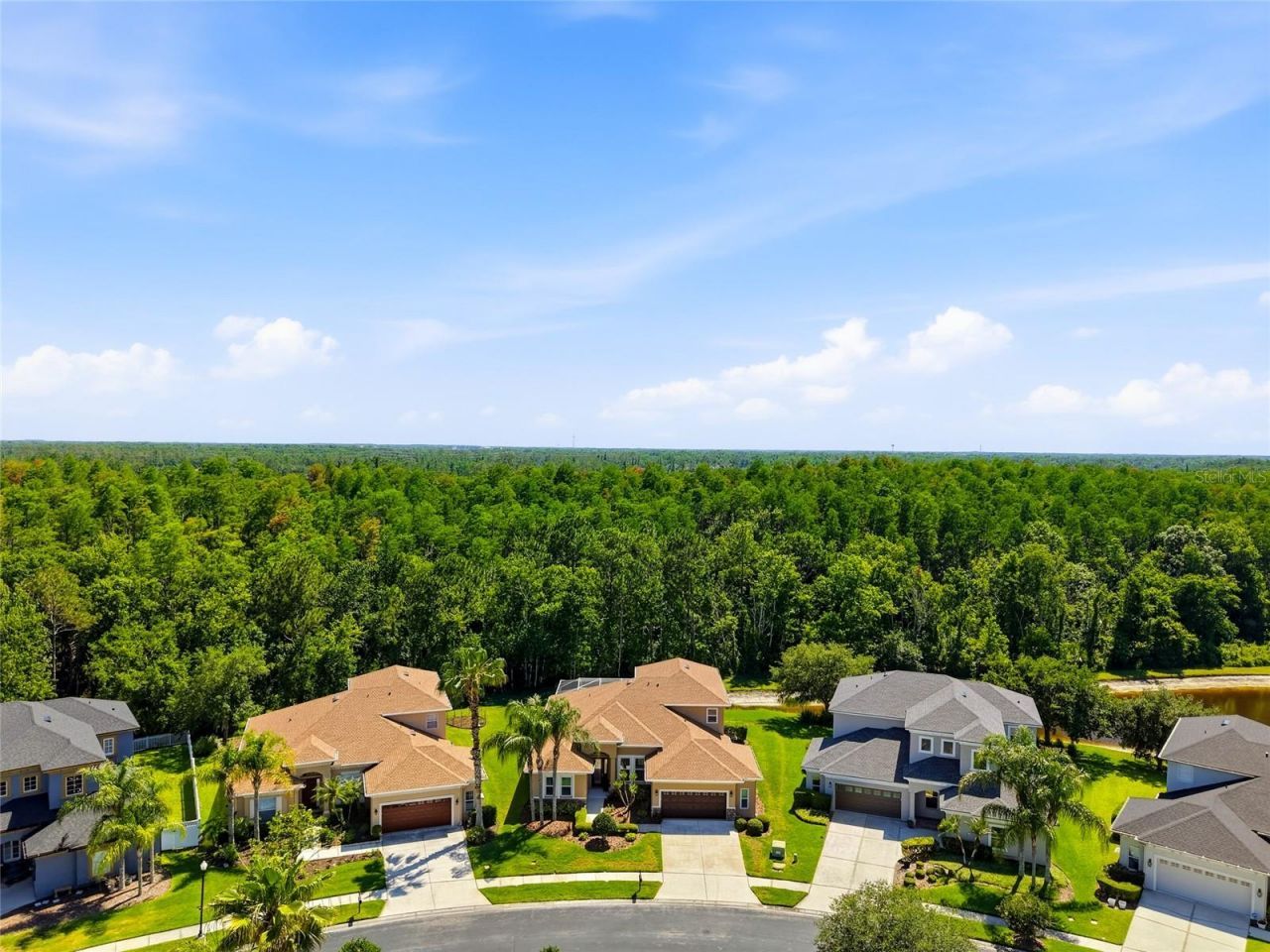 3320 Grassglen Place , Wesley Chapel, FL 33544 Photo