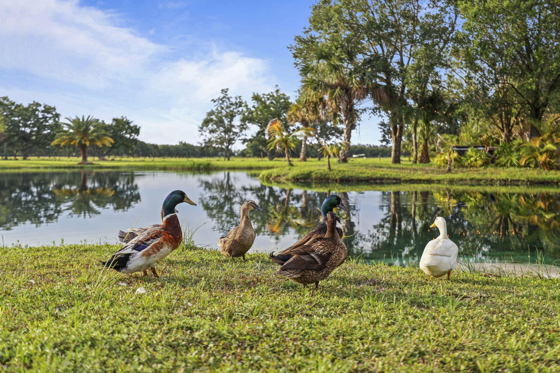 5250 21st Street Sw, Vero Beach, FL 32968 Photo
