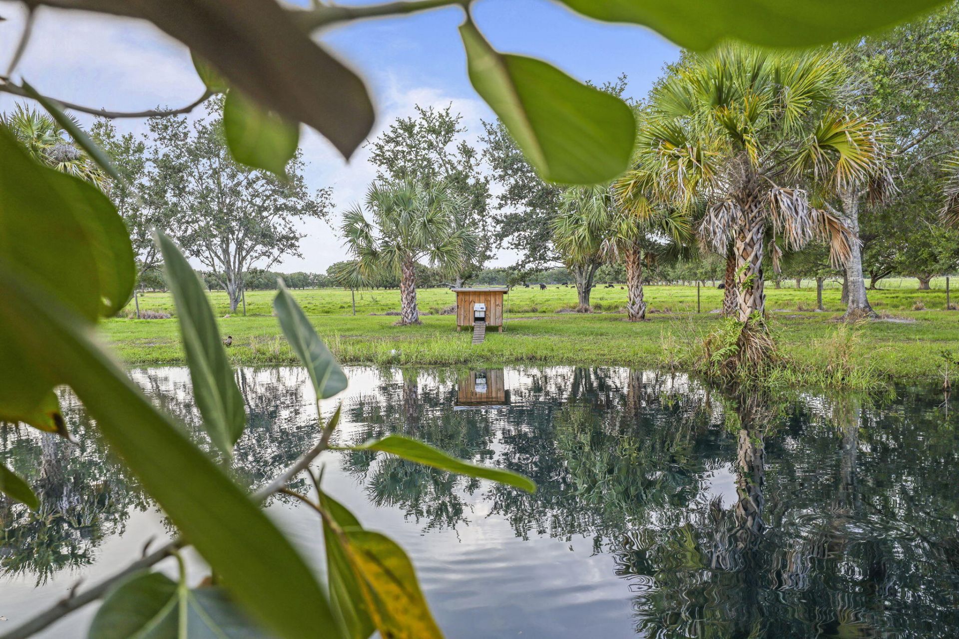 5250 21st Street Sw, Vero Beach, FL 32968 Photo