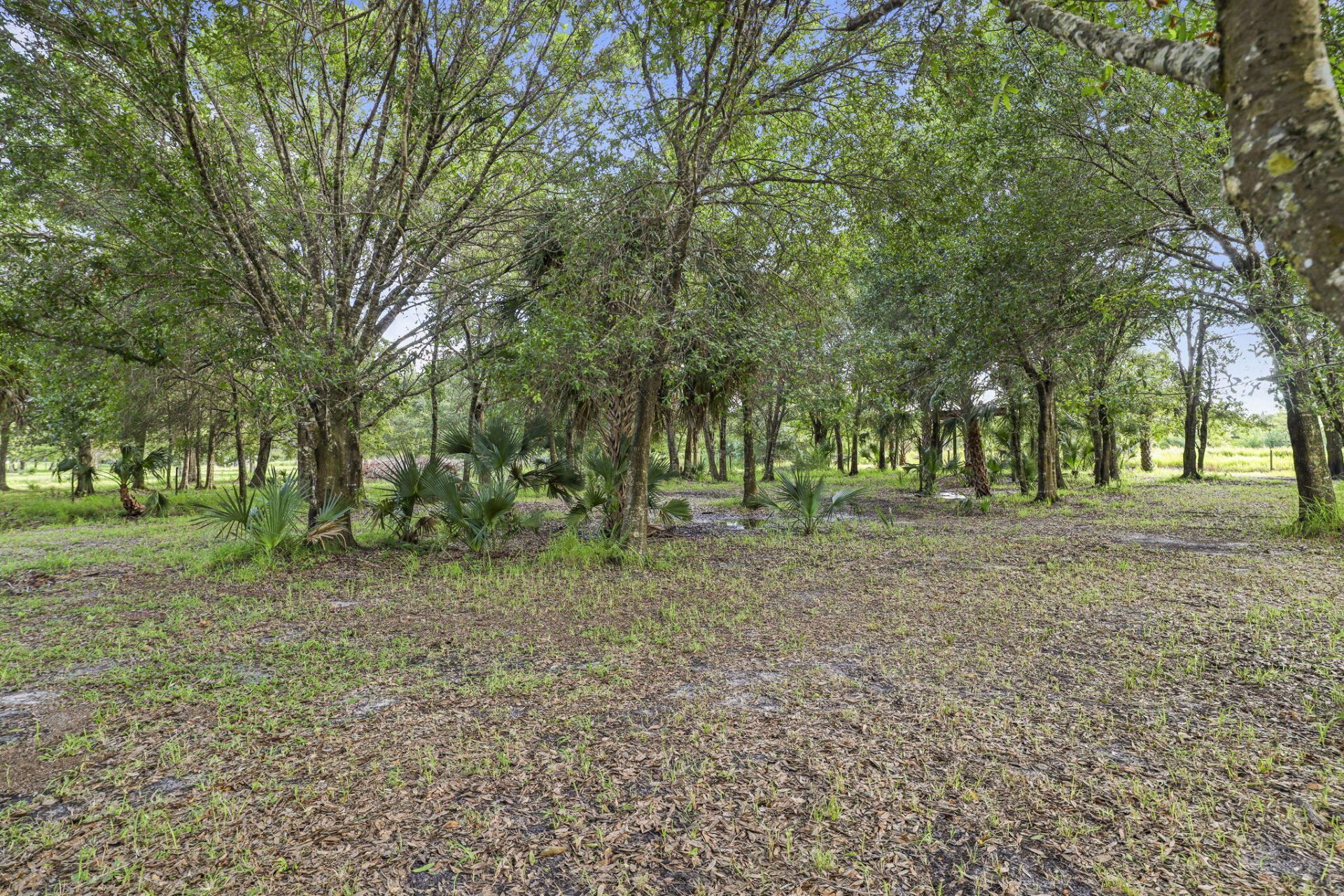 5250 21st Street Sw, Vero Beach, FL 32968 Photo