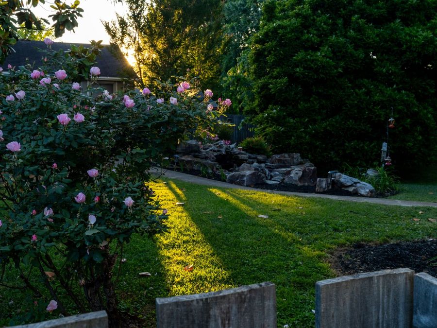Property Image 34