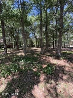 626 Pelican Circle Se, Bolivia, NC 28422 Main Photo