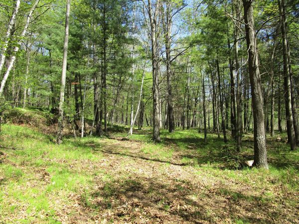 XX S Long Lake Rd , Siren, WI 54872