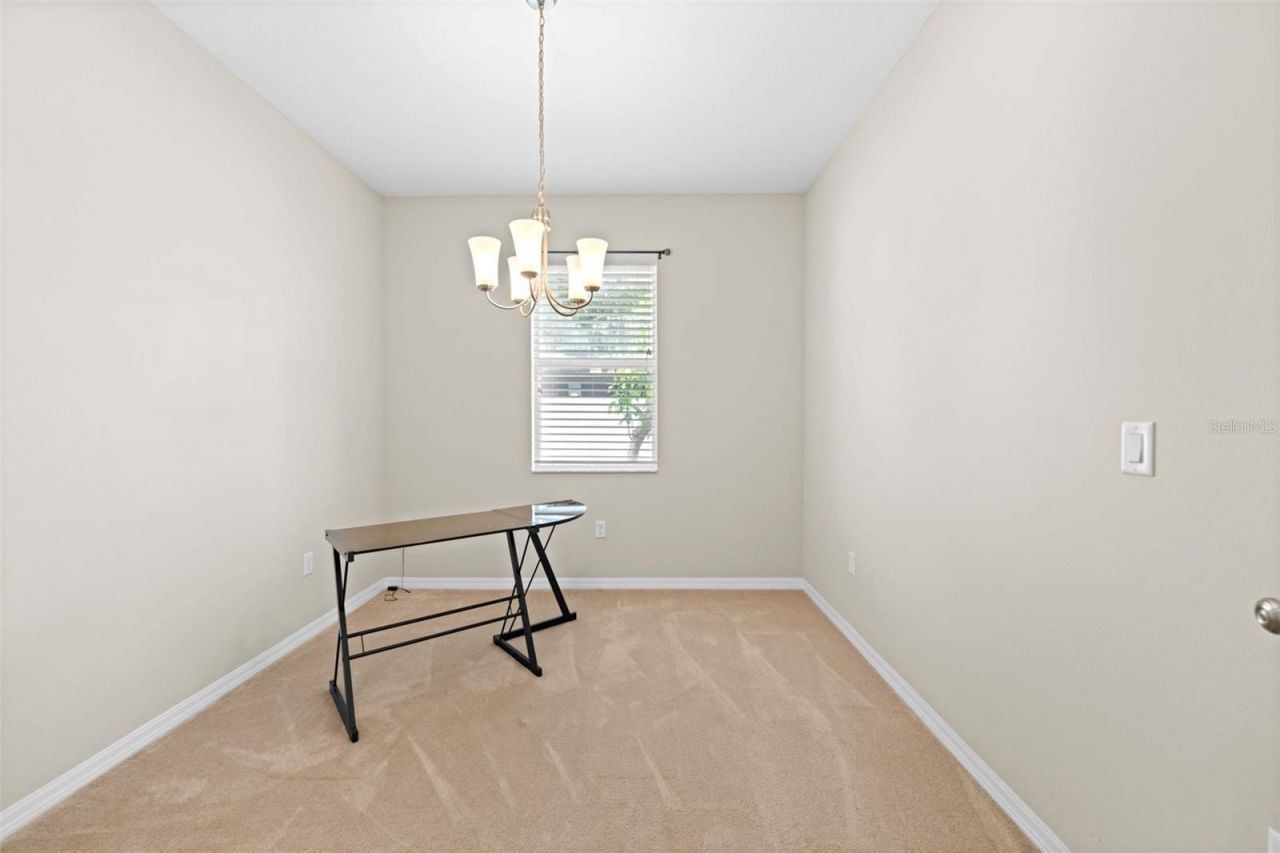 699 Winthrop Drive, Spring Hill, FL 34609 Photo