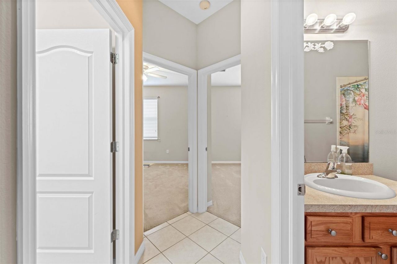 699 Winthrop Drive, Spring Hill, FL 34609 Photo