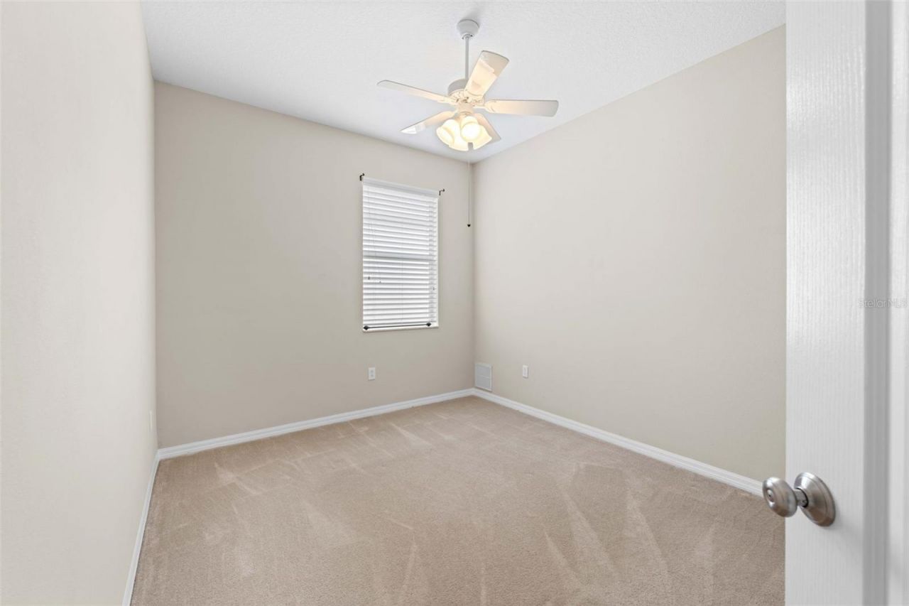 699 Winthrop Drive, Spring Hill, FL 34609 Photo