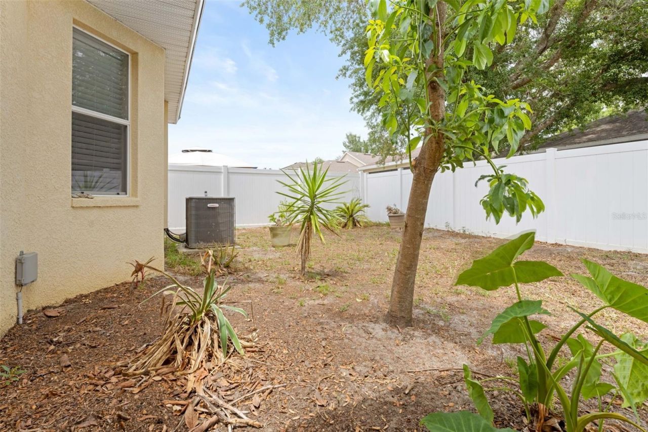 699 Winthrop Drive, Spring Hill, FL 34609 Photo