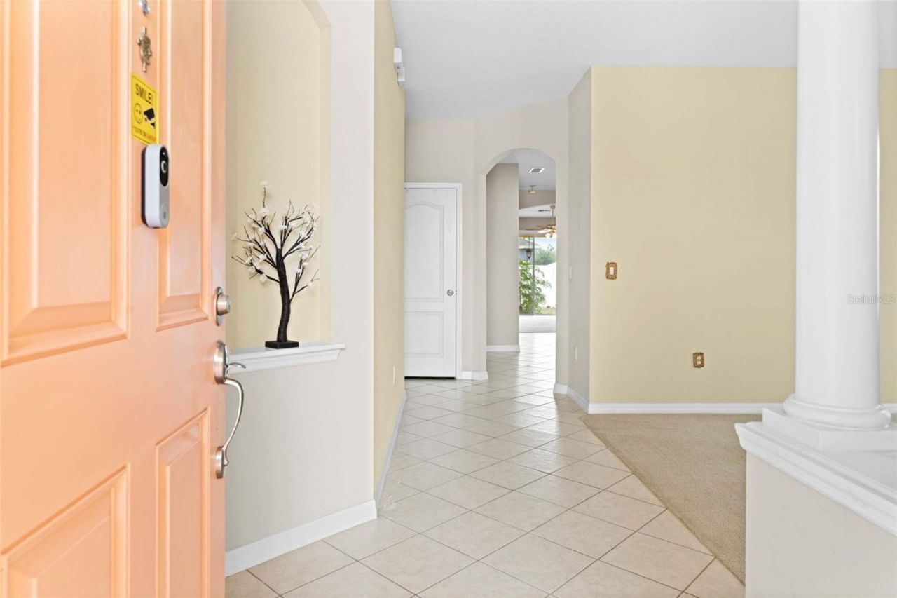 699 Winthrop Drive, Spring Hill, FL 34609 Photo