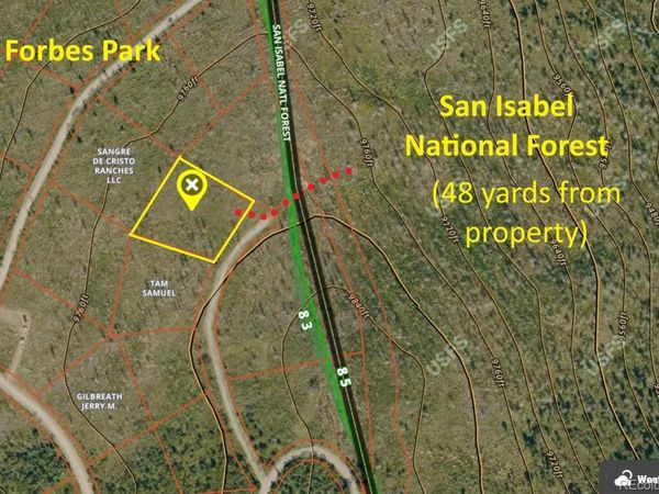2553 Fine Place, Fort Garland, CO 81133