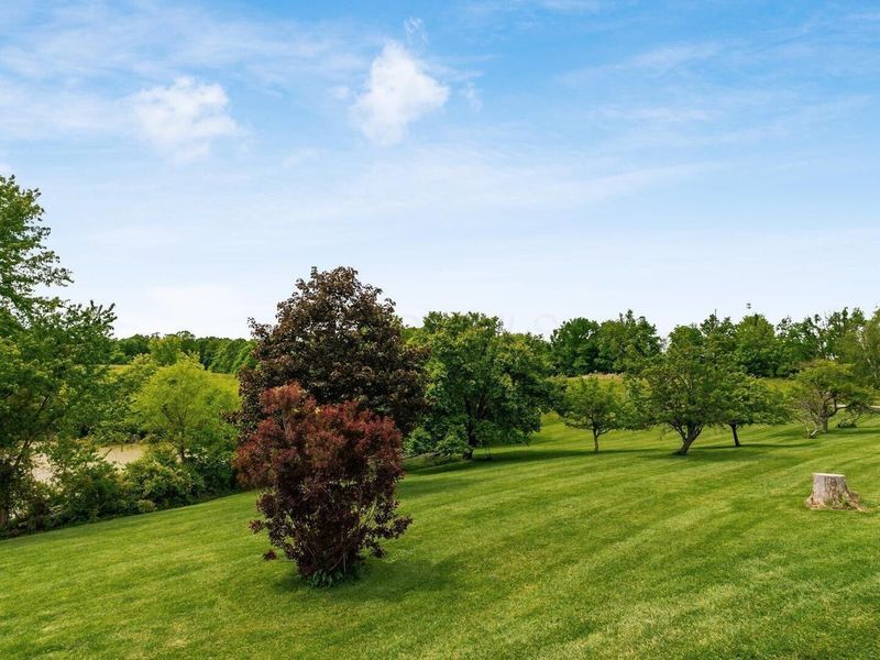 9393 Gaysport Hill Road , Blue Rock, OH 43720 Photo 7