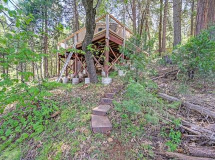 1050 Moody Ridge Rd, Alta, CA 95701 Photo