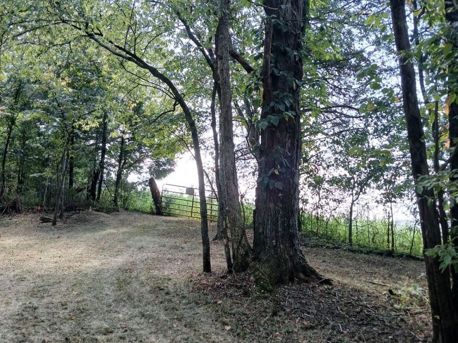 Property Image 30