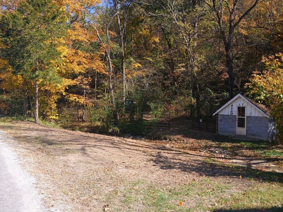 Property Image 6