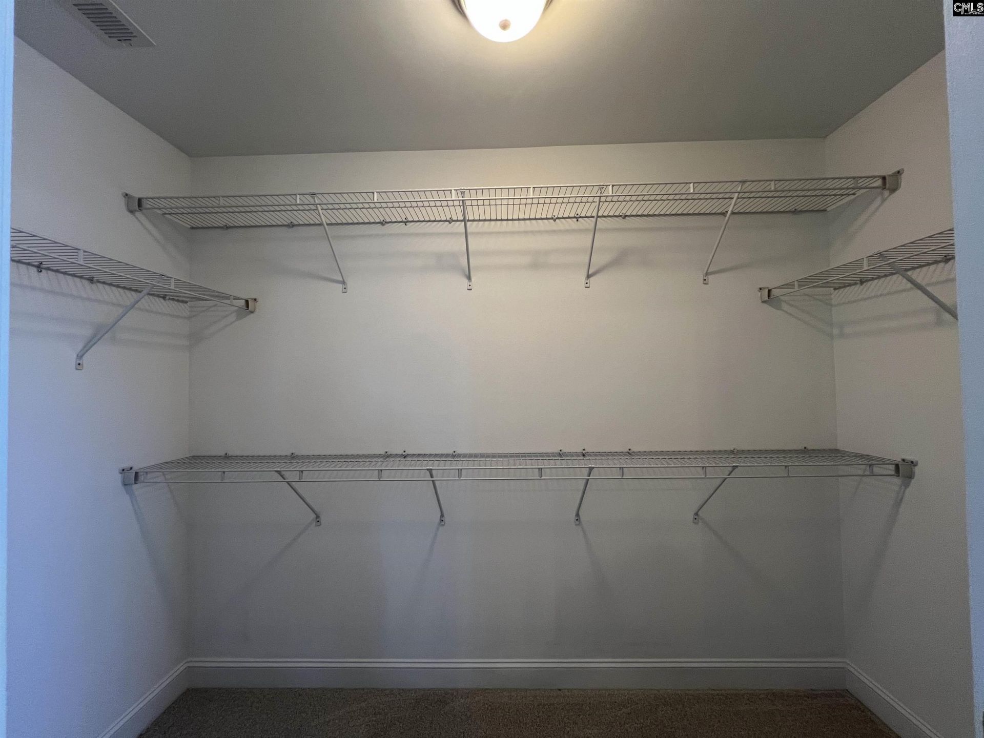 250 Meadow Saffron Drive  Photo 13