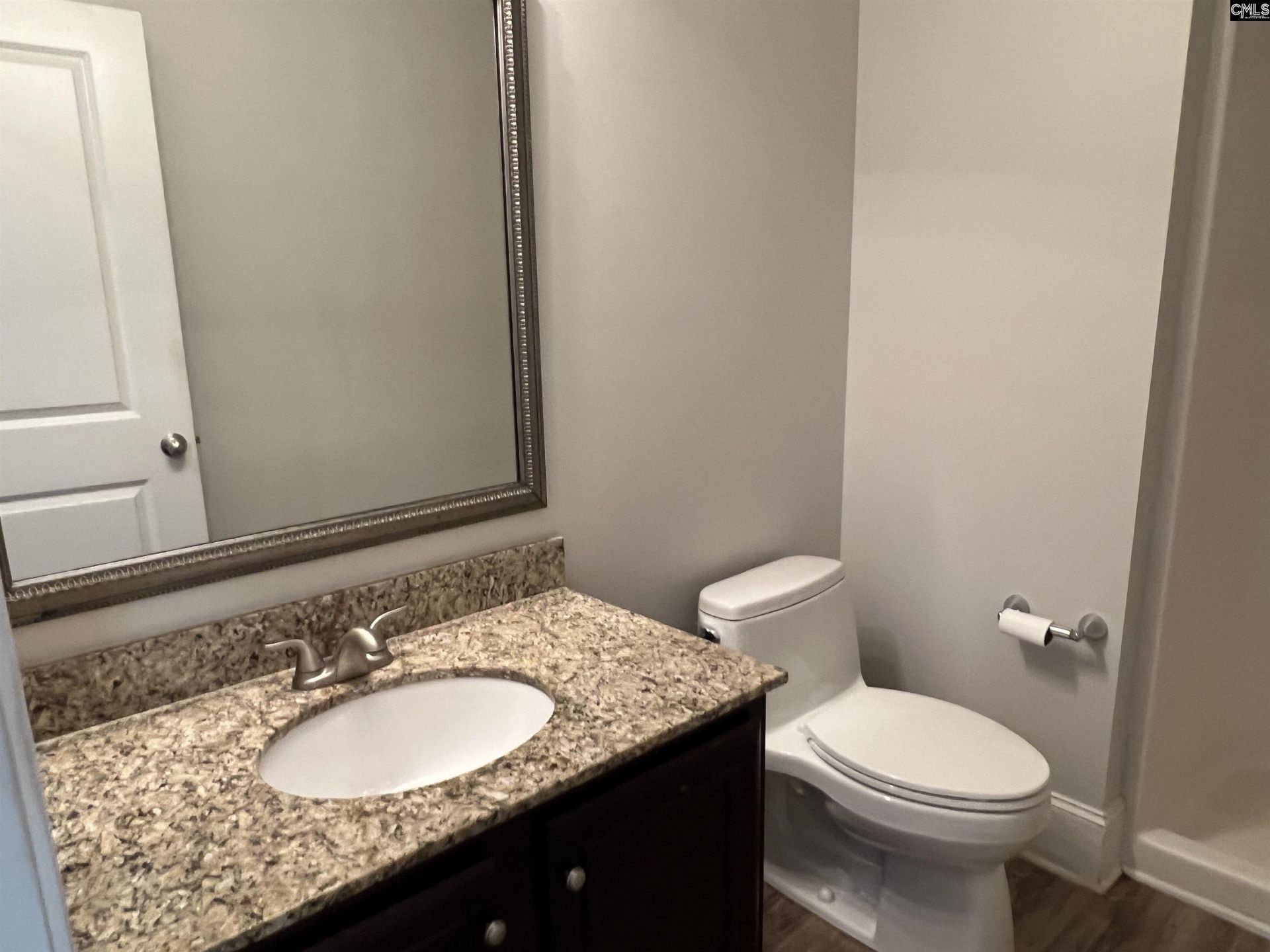 250 Meadow Saffron Drive  Photo 4