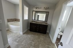 250 Meadow Saffron Drive  photo 4