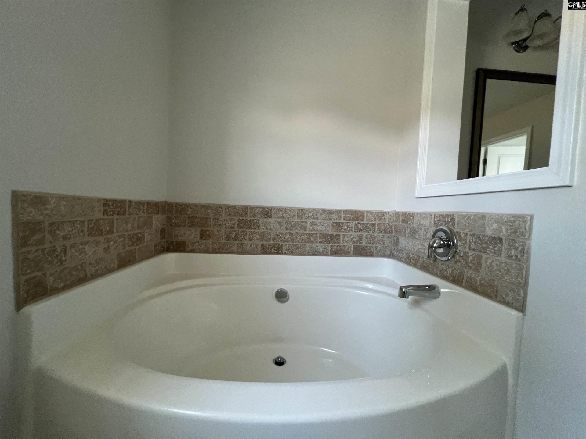 250 Meadow Saffron Drive  Photo 9