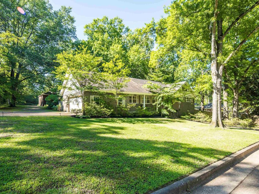 Property Image 38