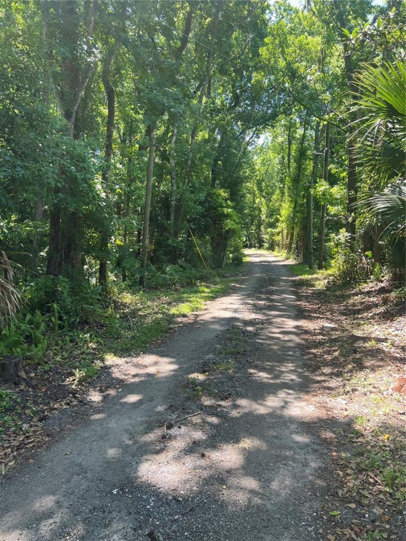 1735 Timocuan Way, Longwood, FL 32750 Photo
