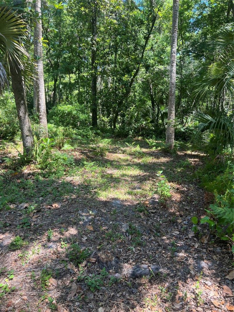 1735 Timocuan Way, Longwood, FL 32750 Photo