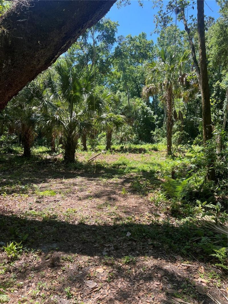 1735 Timocuan Way, Longwood, FL 32750 Photo