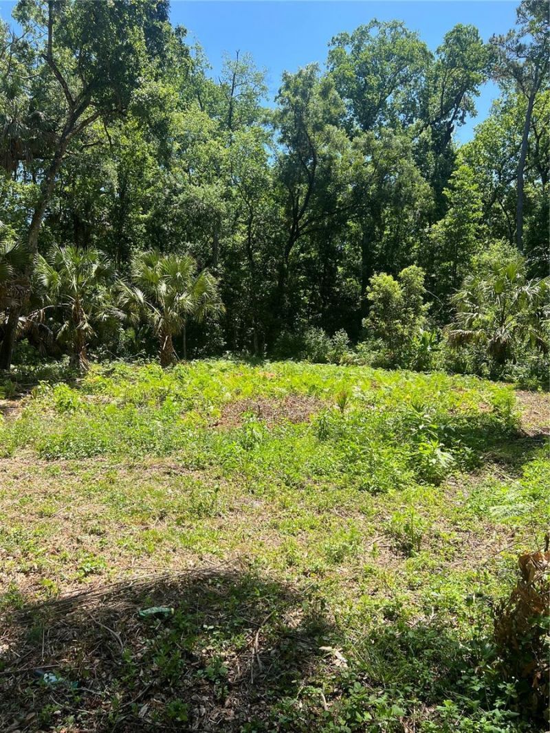 1735 Timocuan Way, Longwood, FL 32750 Photo