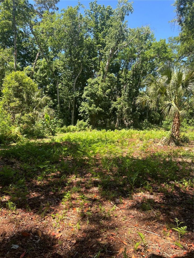 1735 Timocuan Way, Longwood, FL 32750 Photo