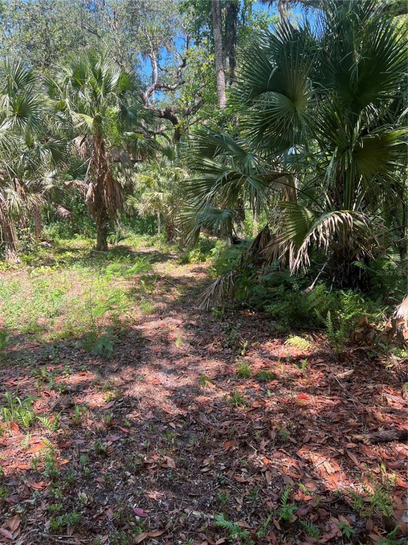 1735 Timocuan Way, Longwood, FL 32750 Photo