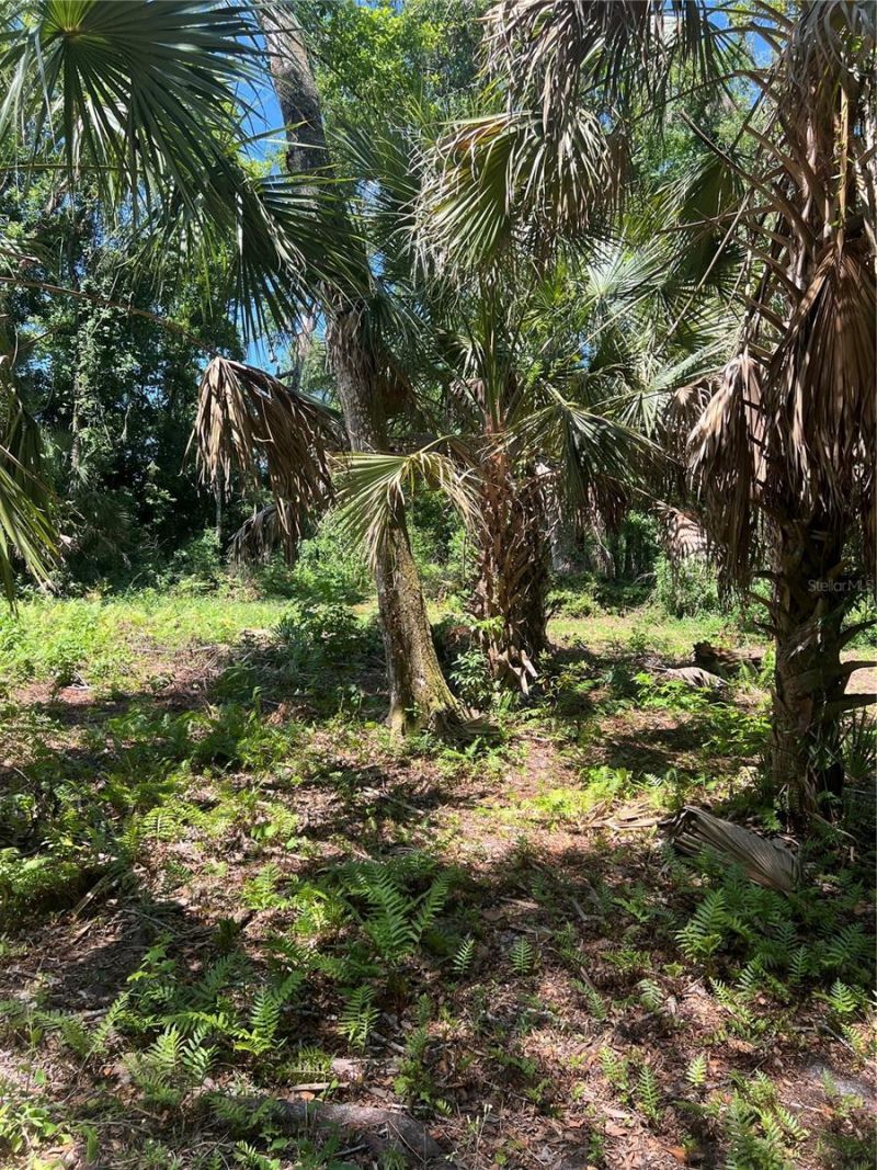 1735 Timocuan Way, Longwood, FL 32750 Photo