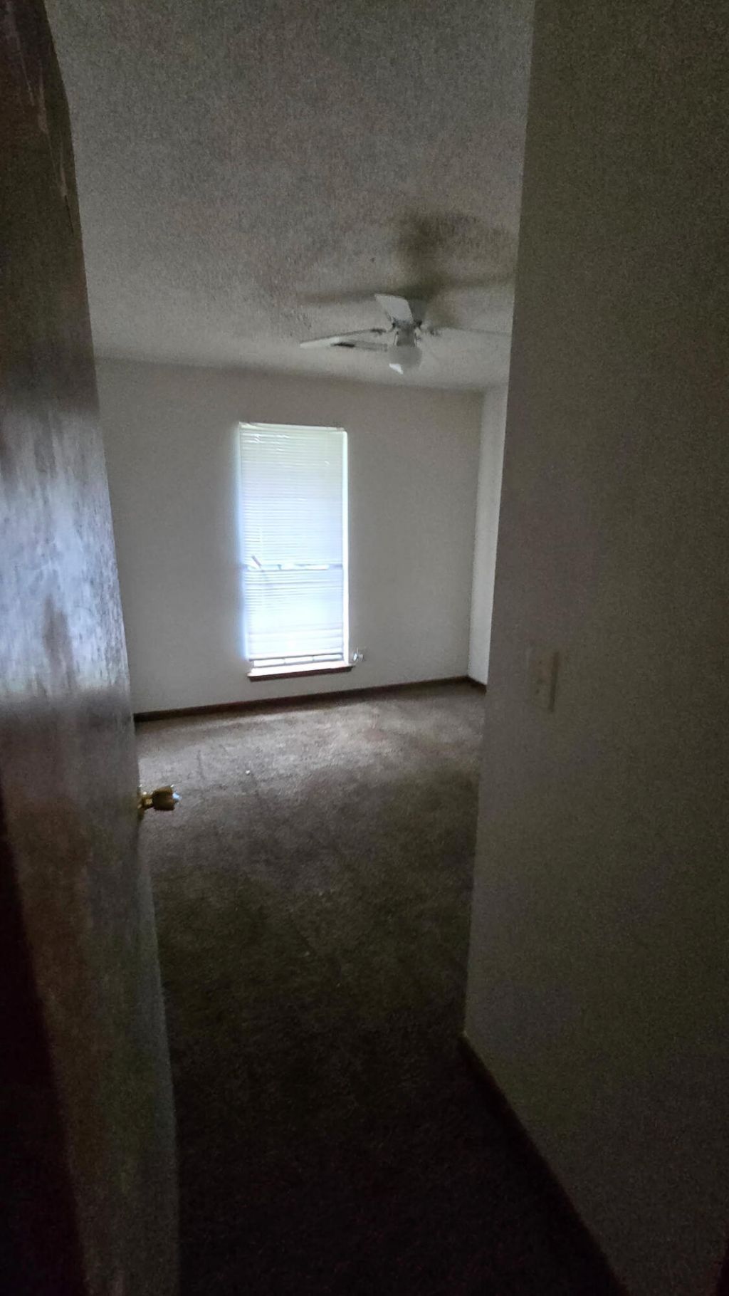 1104 Douglas Wayne Road Photo 7