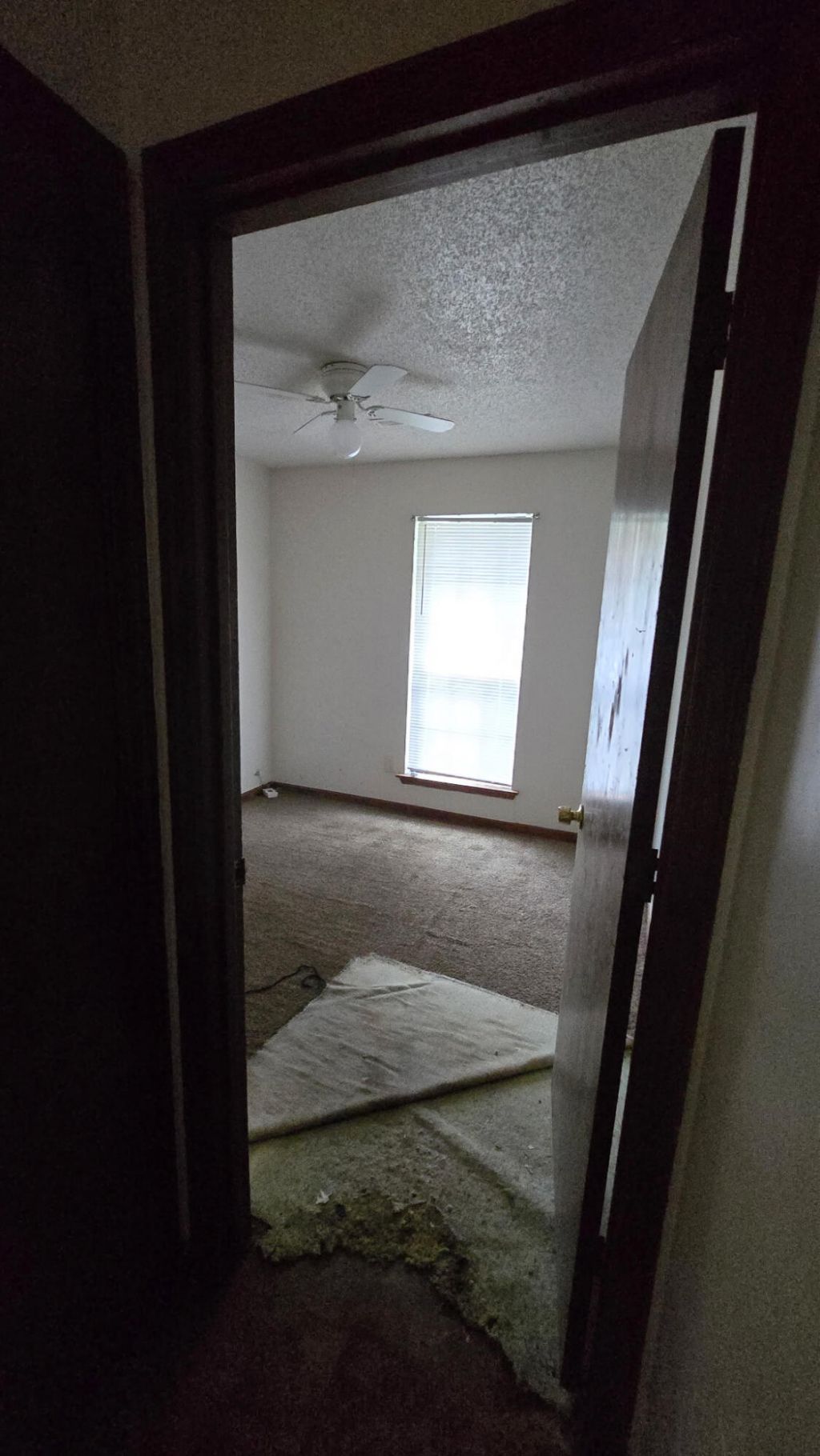 1104 Douglas Wayne Road Photo 8
