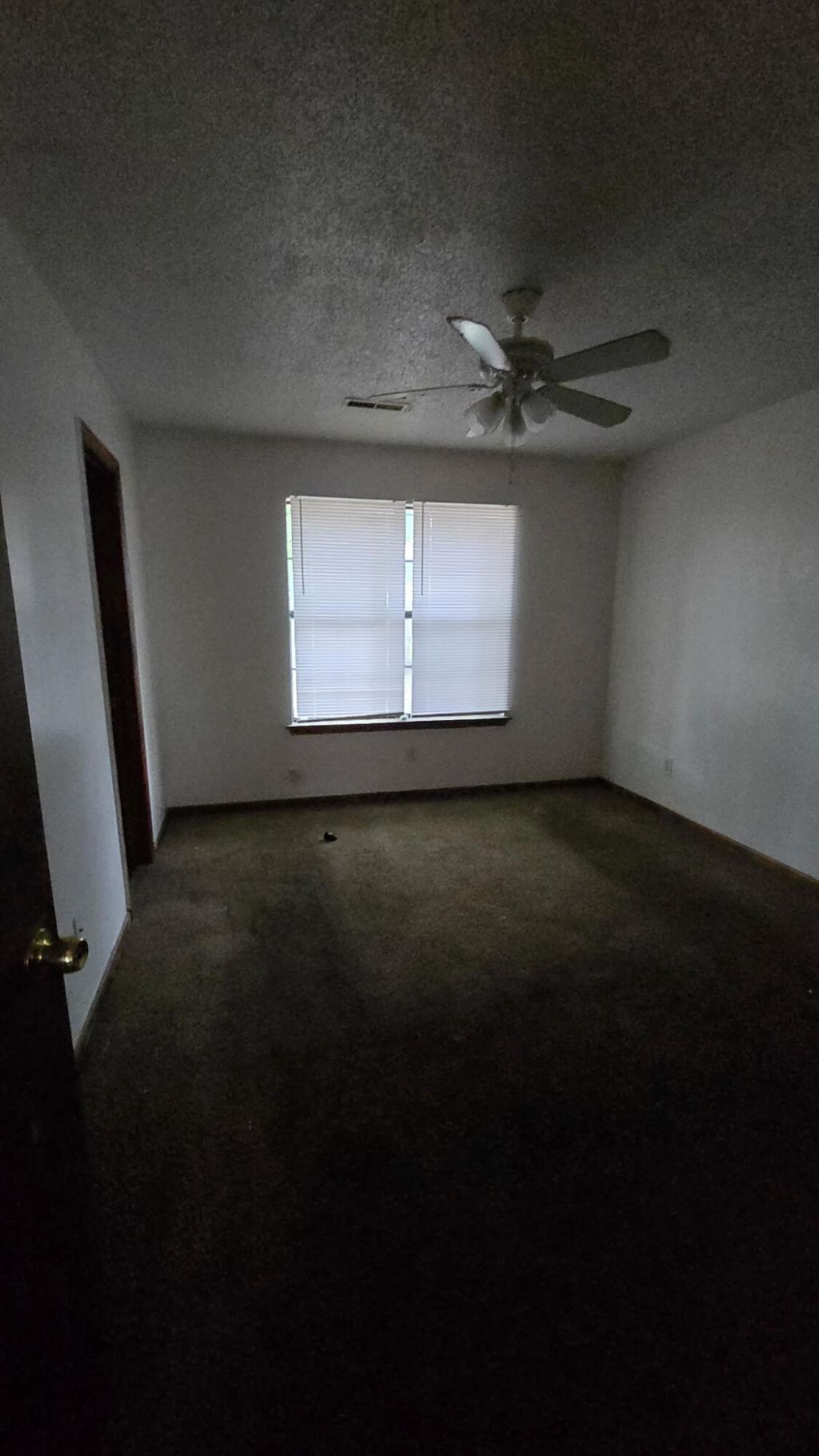 1104 Douglas Wayne Road Photo 9