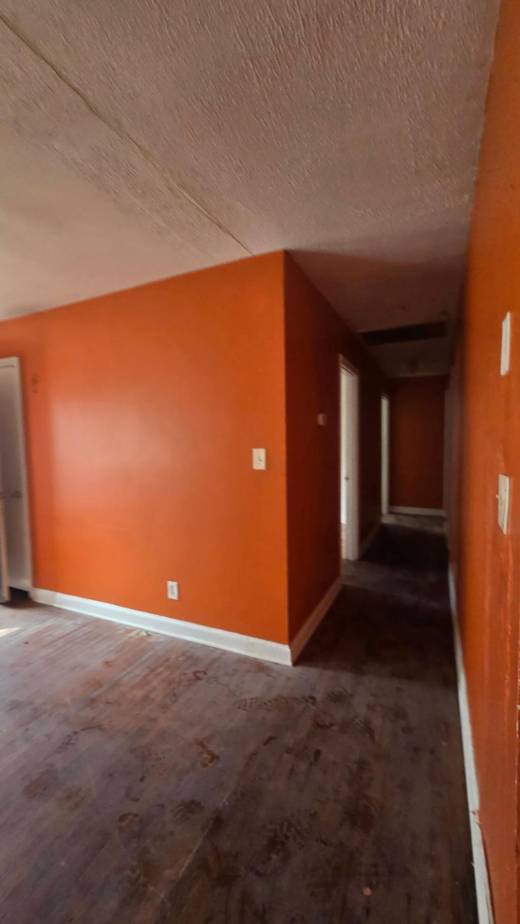 421 Sarah Drive Photo 10