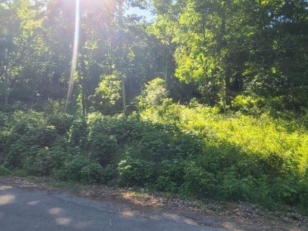 4180 Creek Trail Dr , Whites Creek, TN 37189