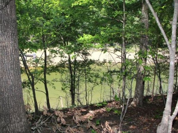 Lot #41 Hurt Lane, Scottsville, KY 42164