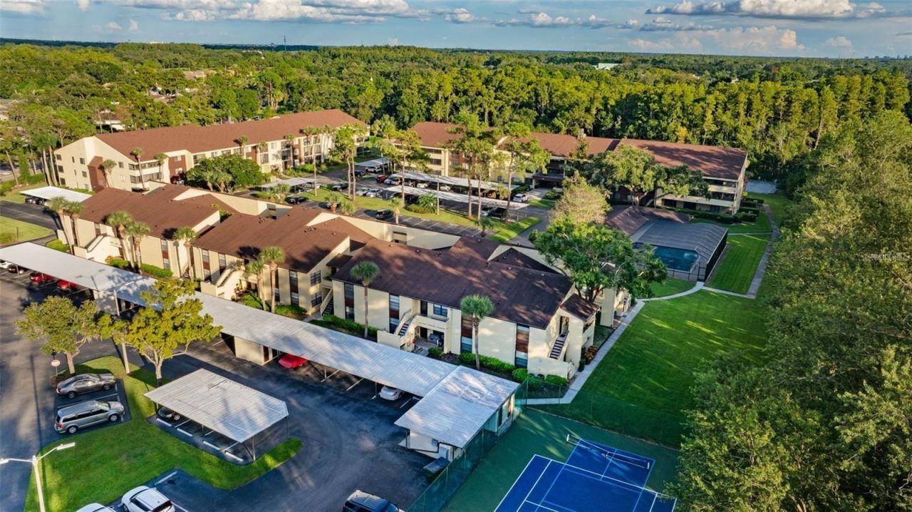 13608 S Village Drive , Unit 7204, Tampa, FL 33618 Photo